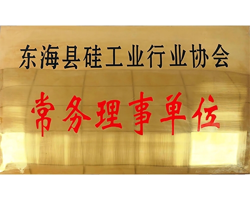 东海县硅工业行业协会常务理事单位